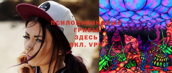 гашик Заводоуковск