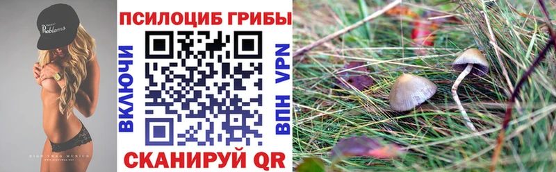 как найти   Исилькуль  Галлюциногенные грибы ЛСД 
